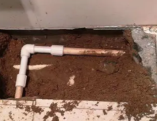 丰都测漏水哪家好