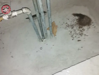 丰都卫生间测漏水价格明细