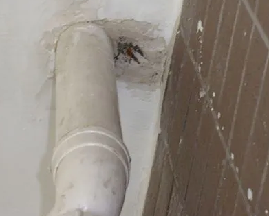 丰都漏水检测哪家好